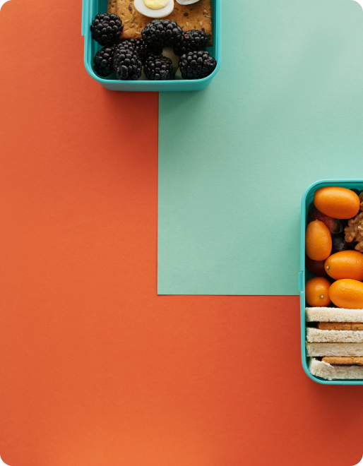 Nutrition, Diet Plan & Progress Tracking